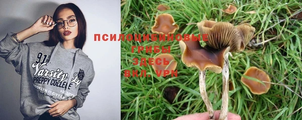 мескалин Алексин