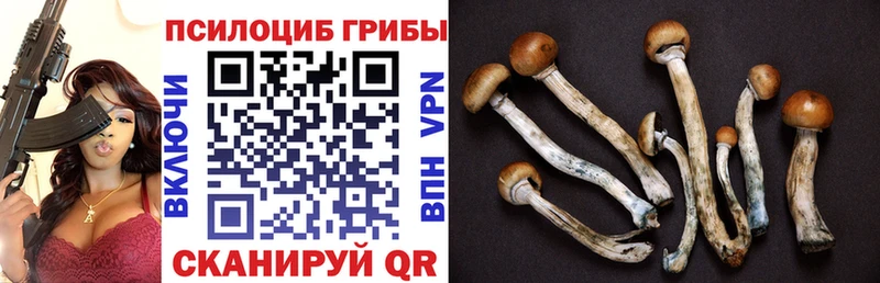 мега вход  Любим  Псилоцибиновые грибы GOLDEN TEACHER 